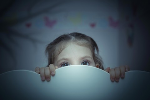 Paura del buio le paure dei bambini video commento al vangelo Luca 21, 5-19 XXXIII domenica tempo ordinario